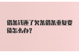 锦州如何避免债务纠纷？专业追讨公司教您应对之策